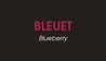 Macaron bleuet - Choco-Là